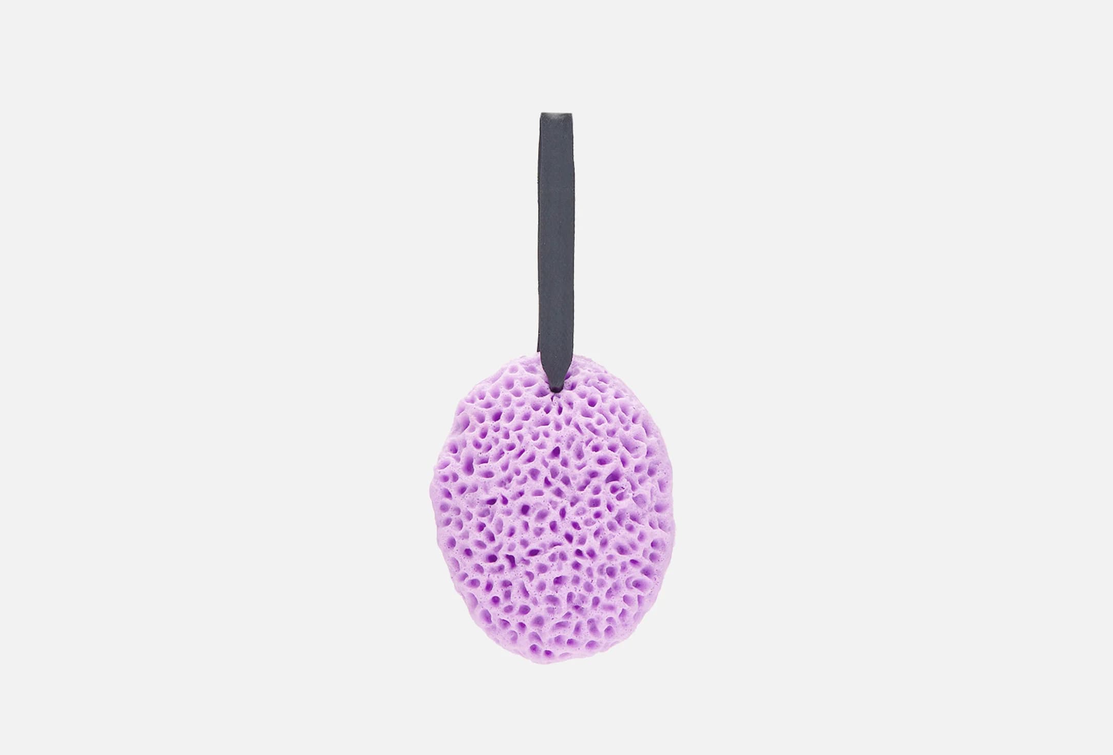 Sponge for washing. Sea sponge