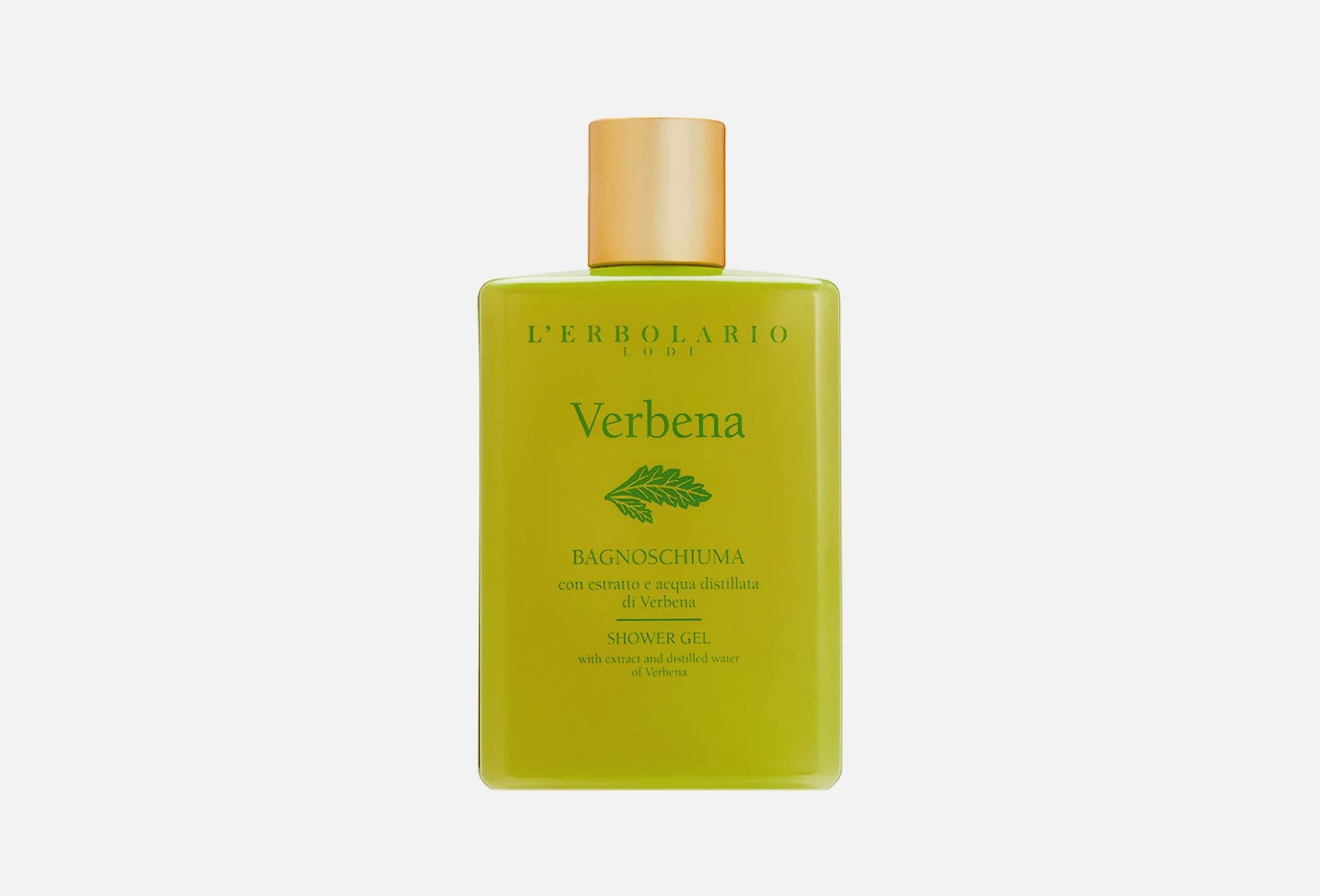 Verbena