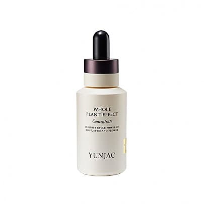 Ампула с ферментированным красным женьшенем Whole Plant Effect Concentrate
