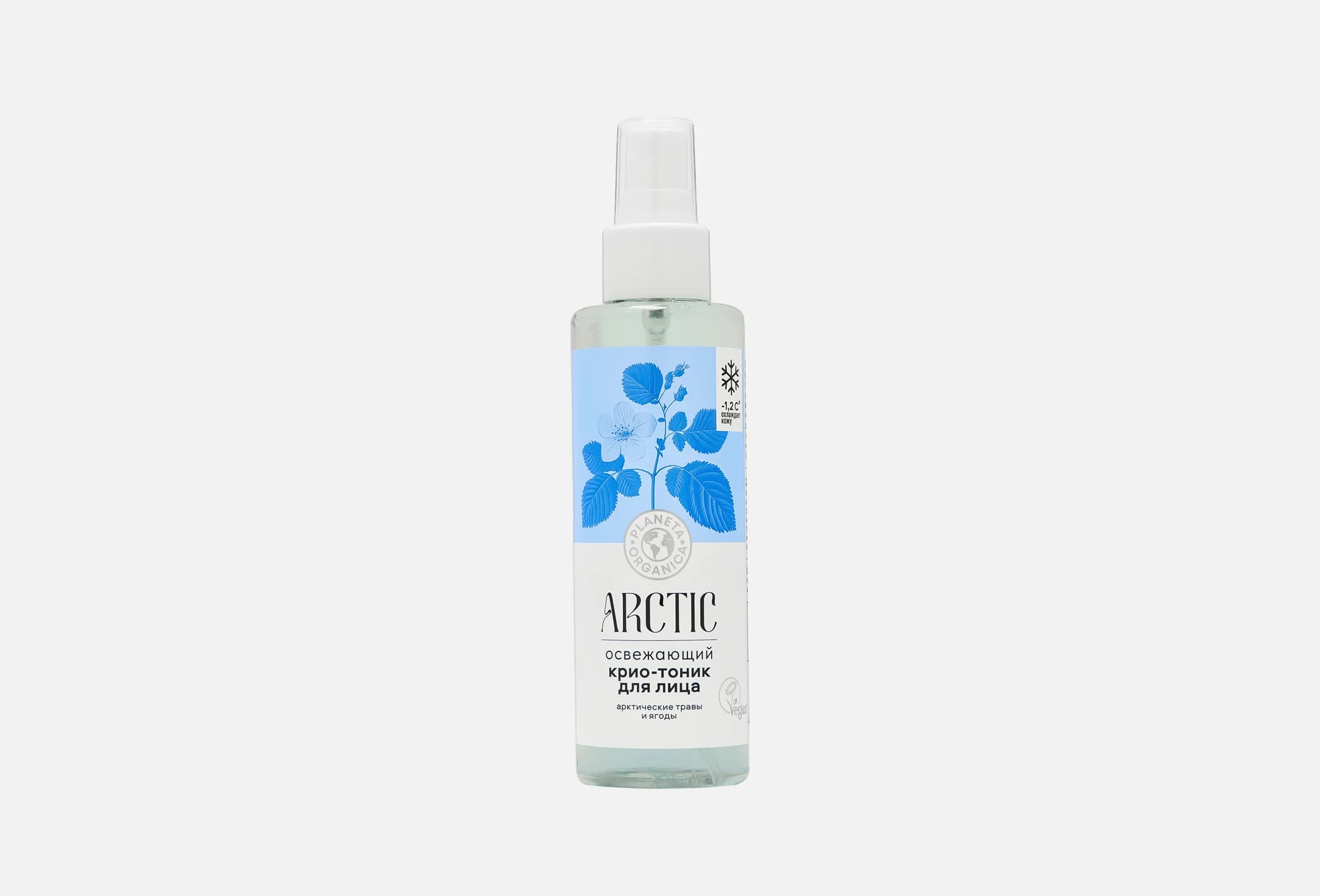 Arctica