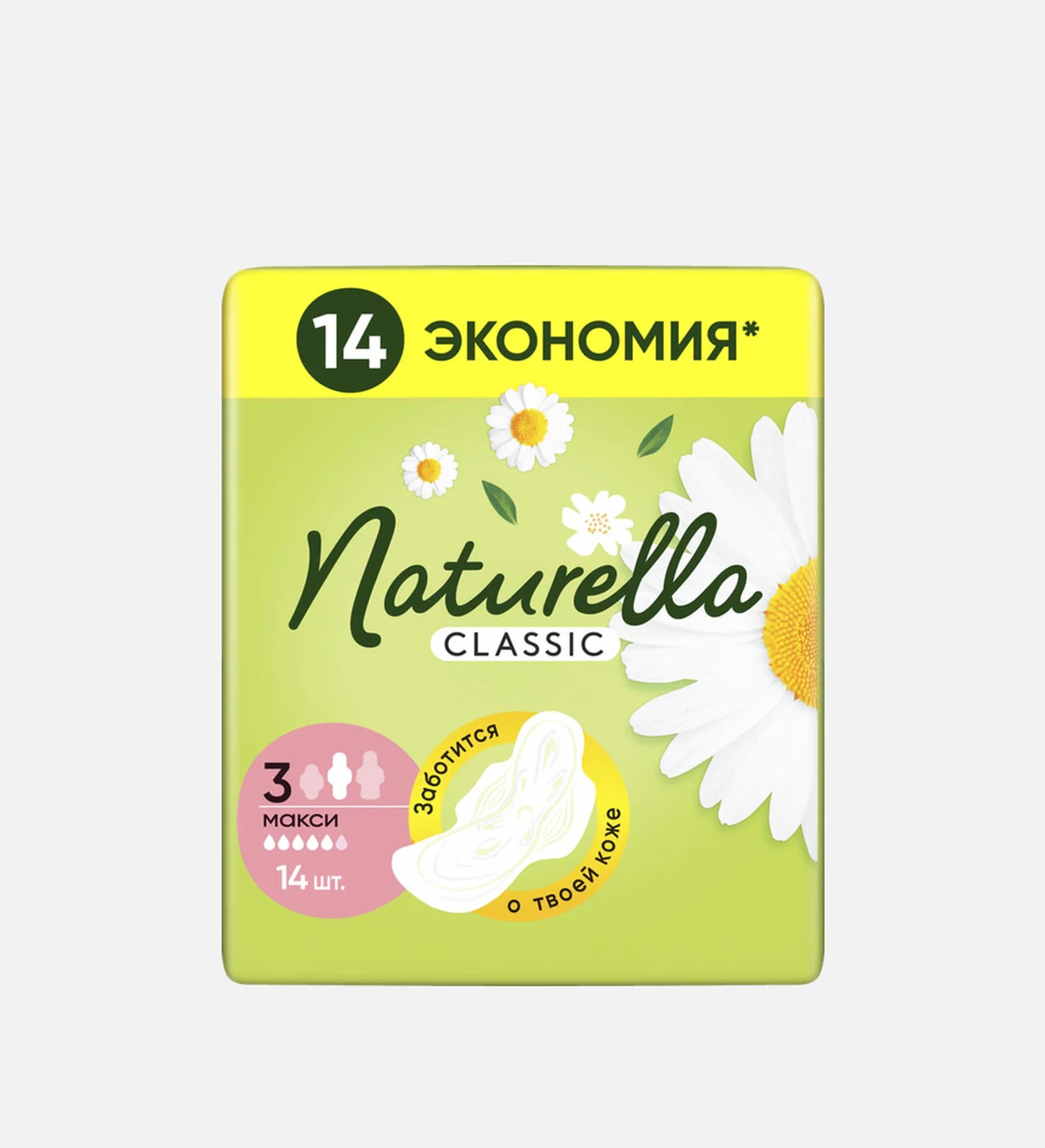 Classic Camomile Maxi Duo
