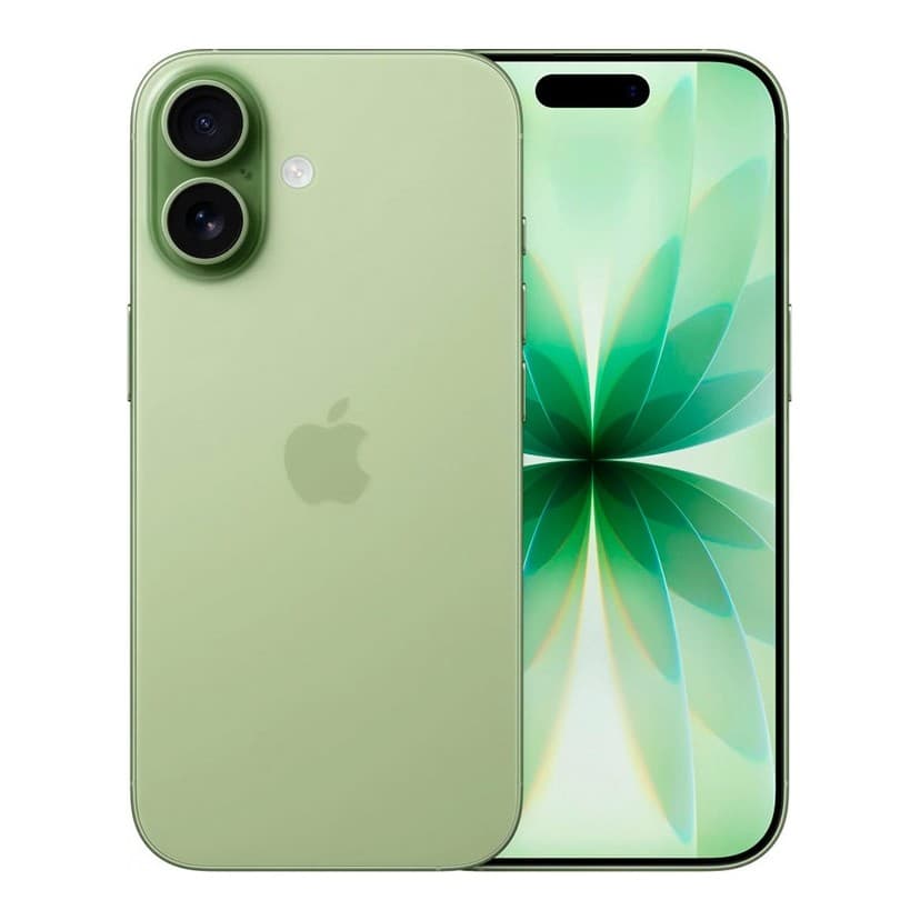 Apple iPhone 17 256 ГБ, eSIM, Sage (зелёный)